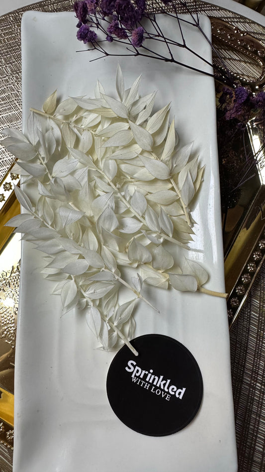 White Ruscus Leaves Pack of 10