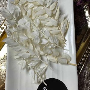 White Ruscus Leaves (10 PCS /BAG )
